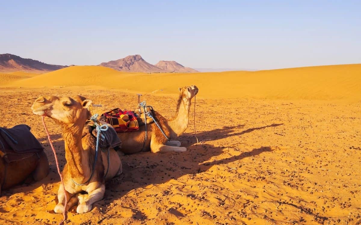 Deserto de Zagora Marrocos
