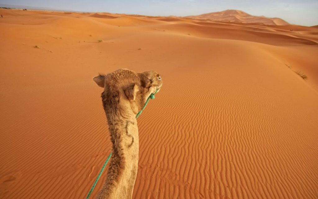 Deserto do Saara Marrocos