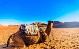Mhamid Marrocos