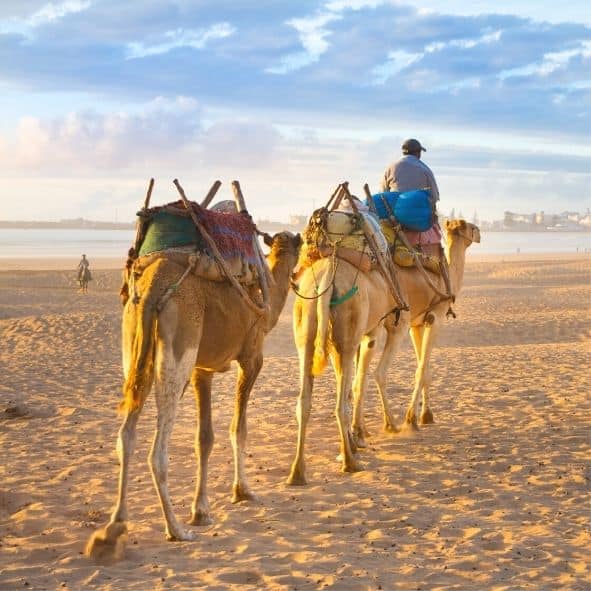 Viagens inesquecíveis no Marrocos Passeios desde Agadir Marrocos