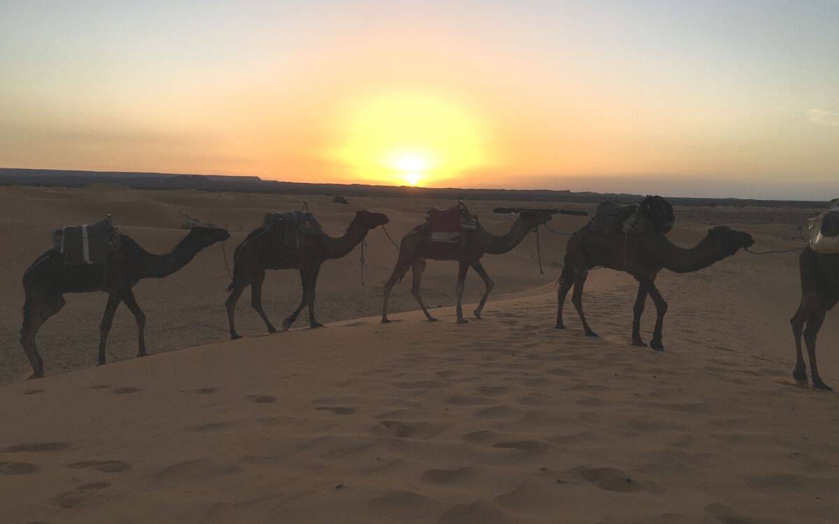 Viagem de 4 Dias - De Marraquexe a Fes pelo Deserto