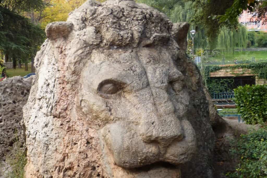 Leão de Pedra (Lion de l’Atlas)
