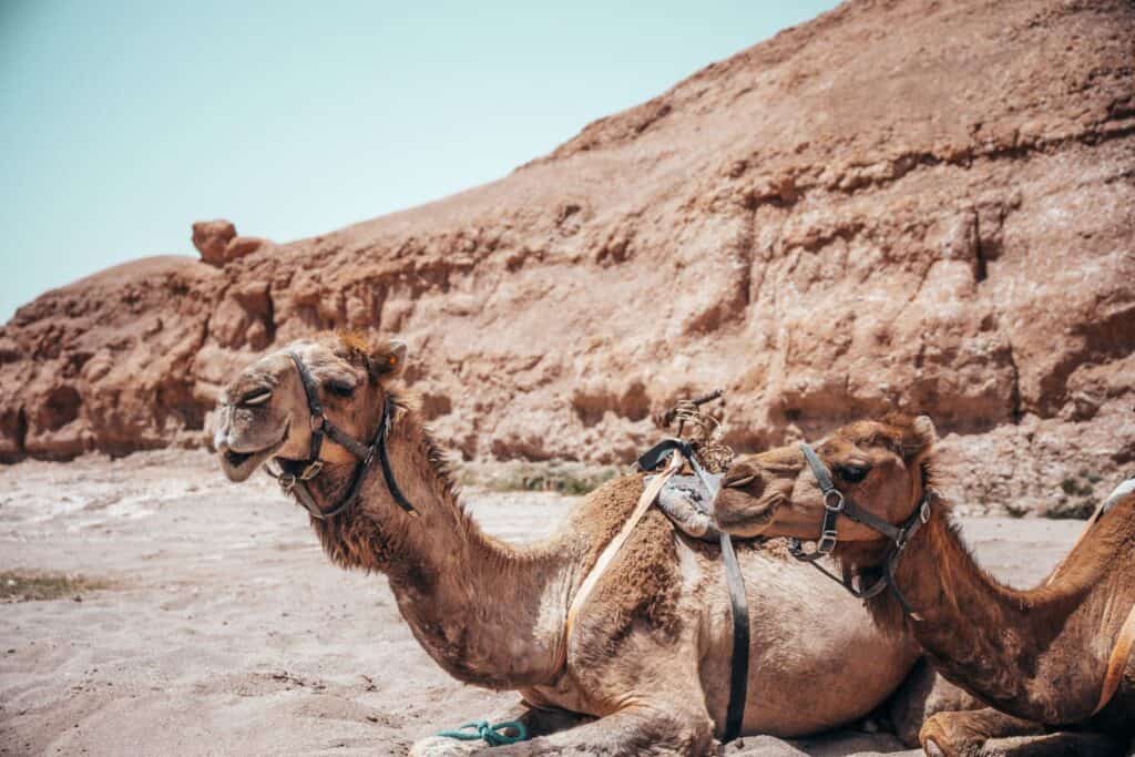 Onde Fica o Deserto de Agafay