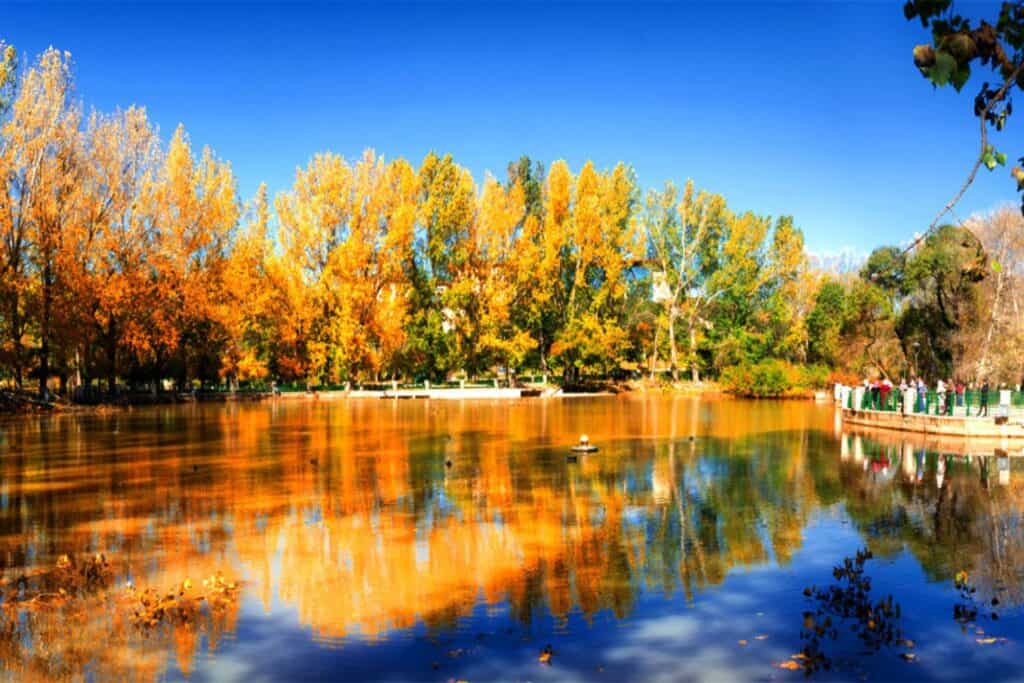 Parque Nacional de Ifrane