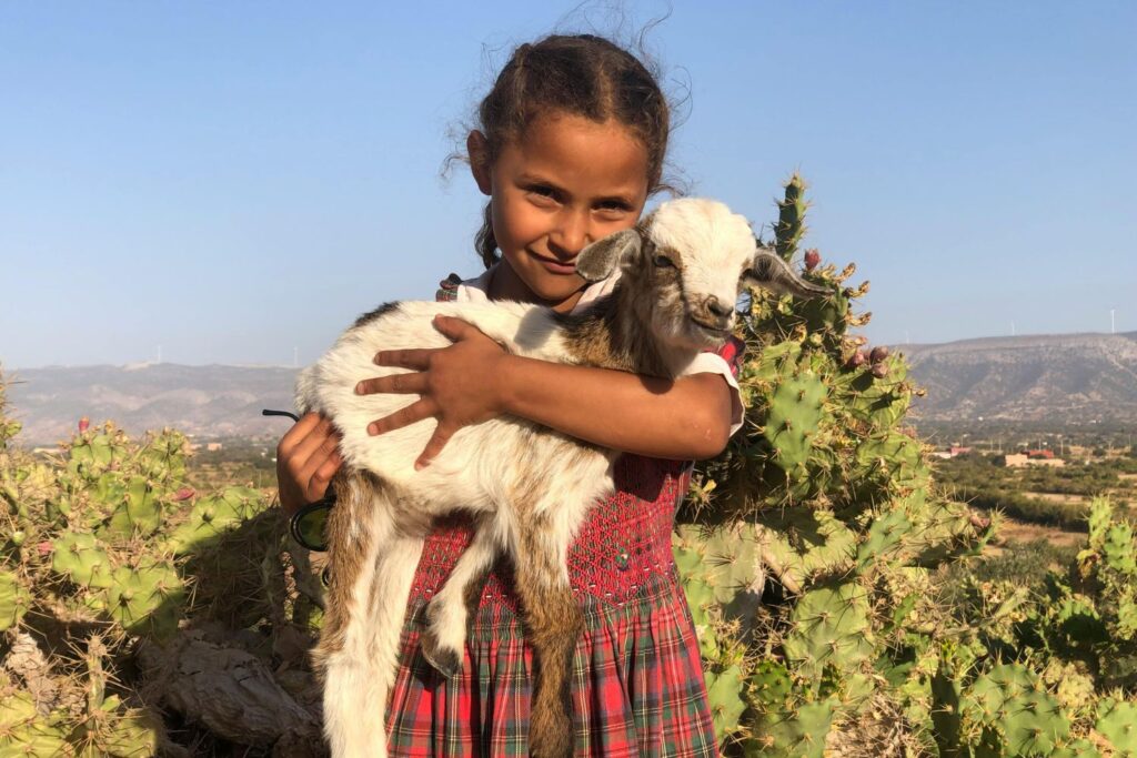 Marrocos com Crianças: Guia Completo para Viajar em Família com Segurança e Experiências Inesquecíveis Essaouira com crianças