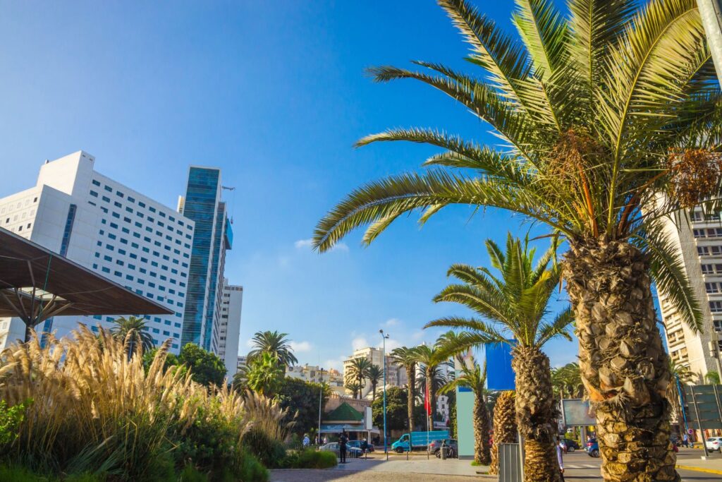 O Que Fazer em Casablanca com Crianças