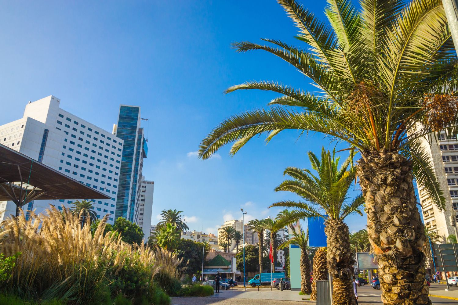 O Que Fazer em Casablanca com Crianças